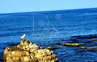 Едностаен апартамент в Бургас, Царево