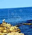 Едностаен апартамент в Бургас, Царево