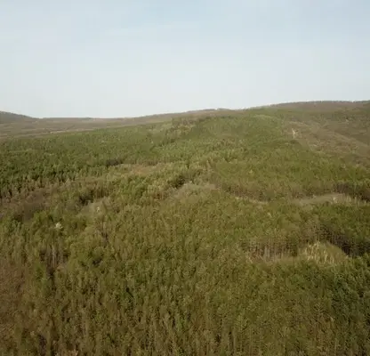 Photo 3 — Agricultural Land in Oblast Varna, Asparuhovo
