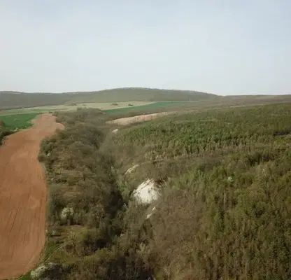 Photo 4 — Agricultural Land in Oblast Varna, Asparuhovo