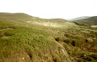 Земеделски имот във Варна, с. Аспарухово