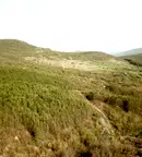 Земеделски имот във Варна, с. Аспарухово