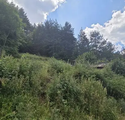 Photo 3 — House in Kyustendil, Kolusha