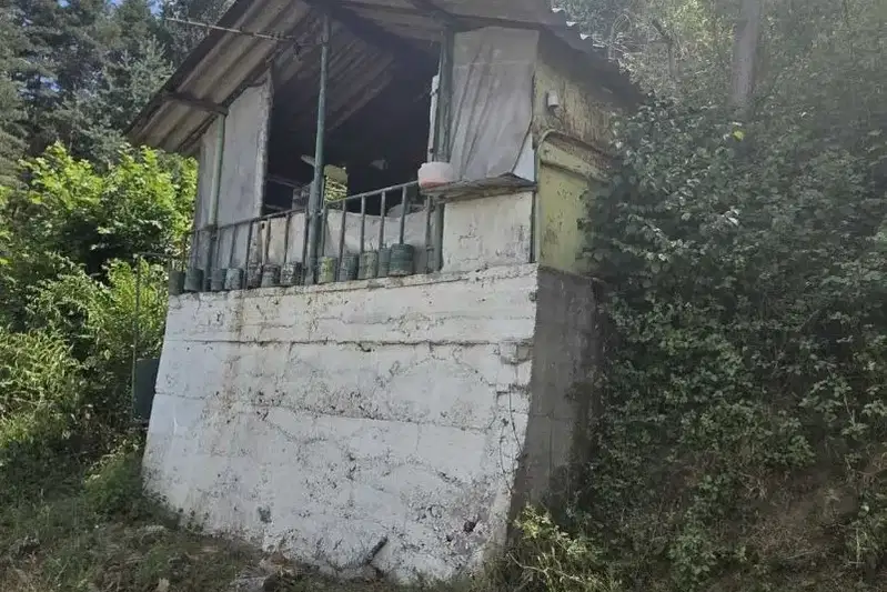 Къща в Кюстендил, Колуша