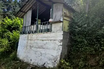 Къща в Кюстендил, Колуша