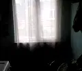 Снимка 2 — Къща в Плевен, Сторгозия