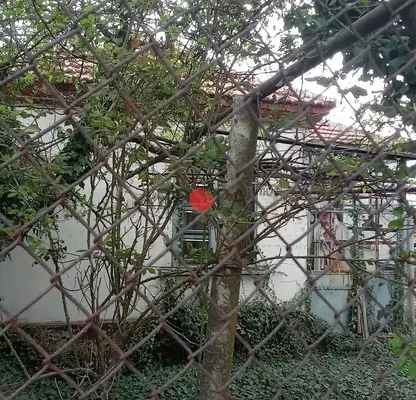 Photo 2 — House in Burgas, Terziisko