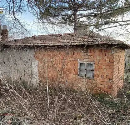 Photo 5 — House in Oblast Dobrich, Jiten