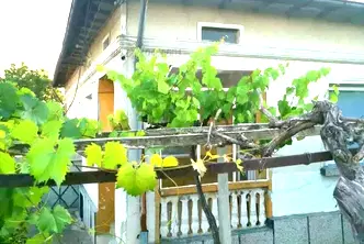 Къща в Добрич, с. Кардам