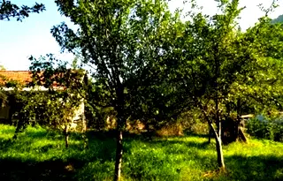 Къща в Перник, с. Блатешница