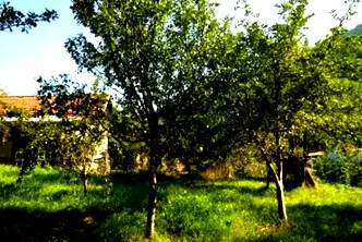 Къща в Перник, с. Блатешница