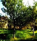 Къща в Перник, с. Блатешница