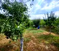 Снимка 4 — Къща в Плевен, с. Телиш