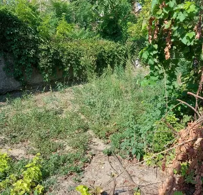 Photo 5 — House in Oblast Ruse, Byala