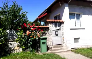 Къща в Русе, Ветово