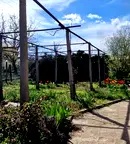 Къща в Шумен, с. Методиево