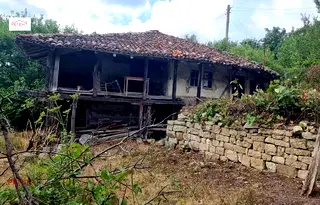 Къща във Велико Търново, Елена