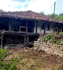 Къща във Велико Търново, Елена