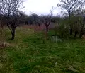 Снимка 5 — Земеделски имот в Кюстендил, Сапарева баня