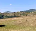 Снимка 2 — Земеделски имот в Кърджали, с. Царевец