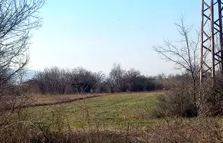 Земеделски имот в Пловдив, Пловдив