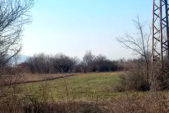 Земеделски имот в Пловдив, Пловдив