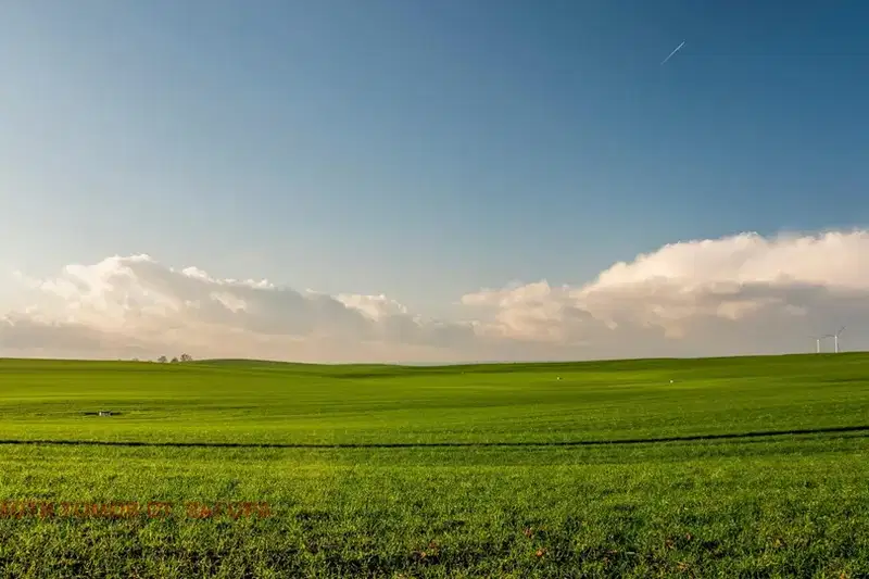 Arable Land in Stara Zagora, Yagoda
