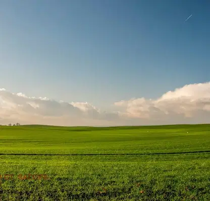 Photo 2 — Agricultural Land in Oblast Stara Zagora, Yagoda