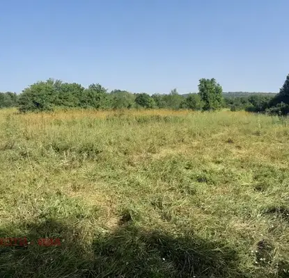 Photo 3 — Agricultural Land in Oblast Veliko Tyrnovo, Kypinovo