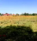 Земеделски имот във Велико Търново, с. Къпиново