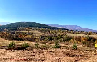 Парцел в с. Панчарево