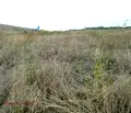 Снимка 4 — Парцел в с. Мало Бучино