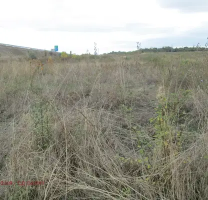 Photo 4 — Plot in Malo Buchino