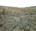 Снимка 5 — Парцел в с. Мало Бучино