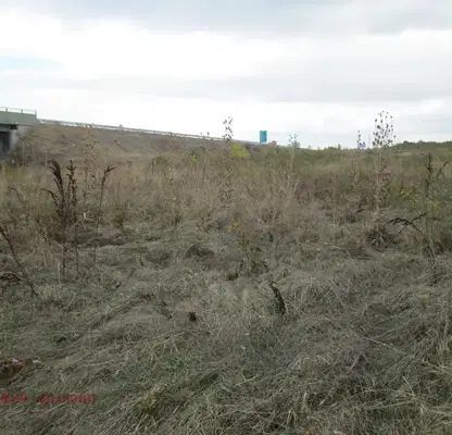 Photo 5 — Plot in Malo Buchino
