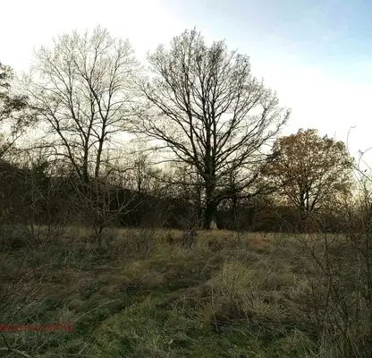 Photo 3 — Plot in Malo Buchino
