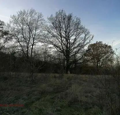 Photo 2 — Plot in Malo Buchino