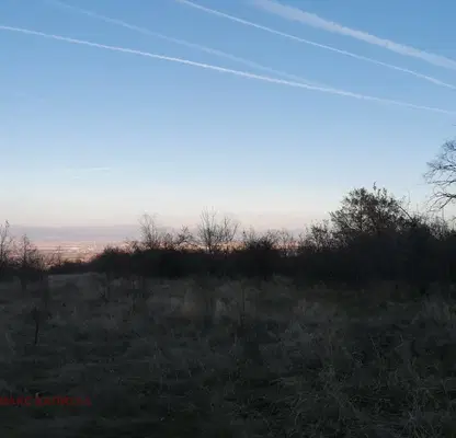 Photo 3 — Plot in Malo Buchino