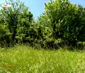 Снимка 2 — Парцел в с. Лозен