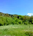 Парцел в с. Мърчаево