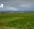 Снимка 3 — Парцел в с. Чепинци