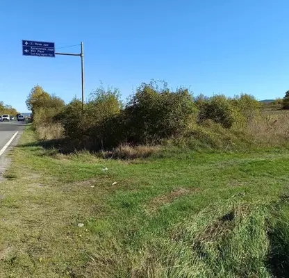 Photo 2 — Plot in Lozen