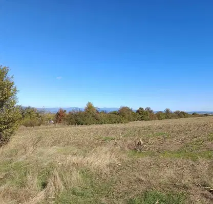 Photo 5 — Plot in Lozen
