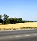 Парцел в с. Войнеговци