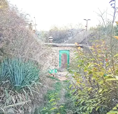 Photo 2 — Plot in Pancharevo