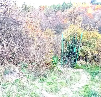 Photo 3 — Plot in Pancharevo