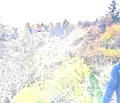 Снимка 4 — Парцел в с. Панчарево