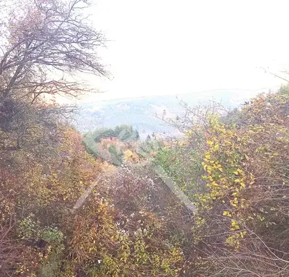 Photo 5 — Plot in Pancharevo