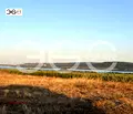 Снимка 4 — Парцел в с. Тополи