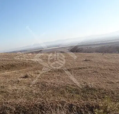 Photo 5 — Plot in Voinegovci